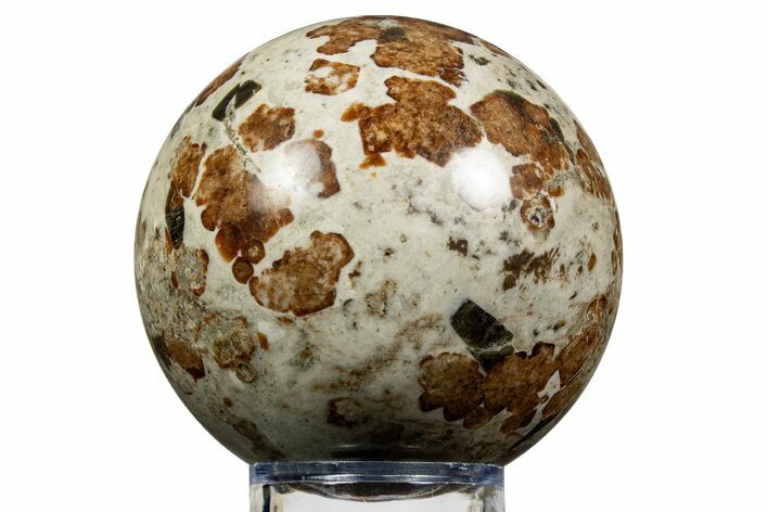 Polished Garnet In Wollastonite Sphere - Namibia #343958